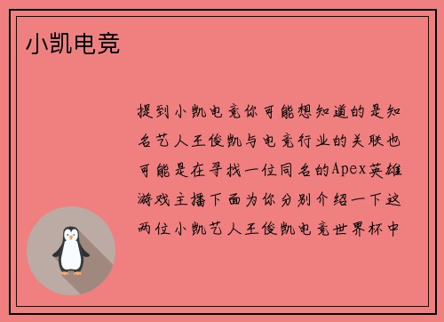 小凯电竞