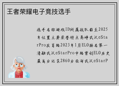 王者荣耀电子竞技选手